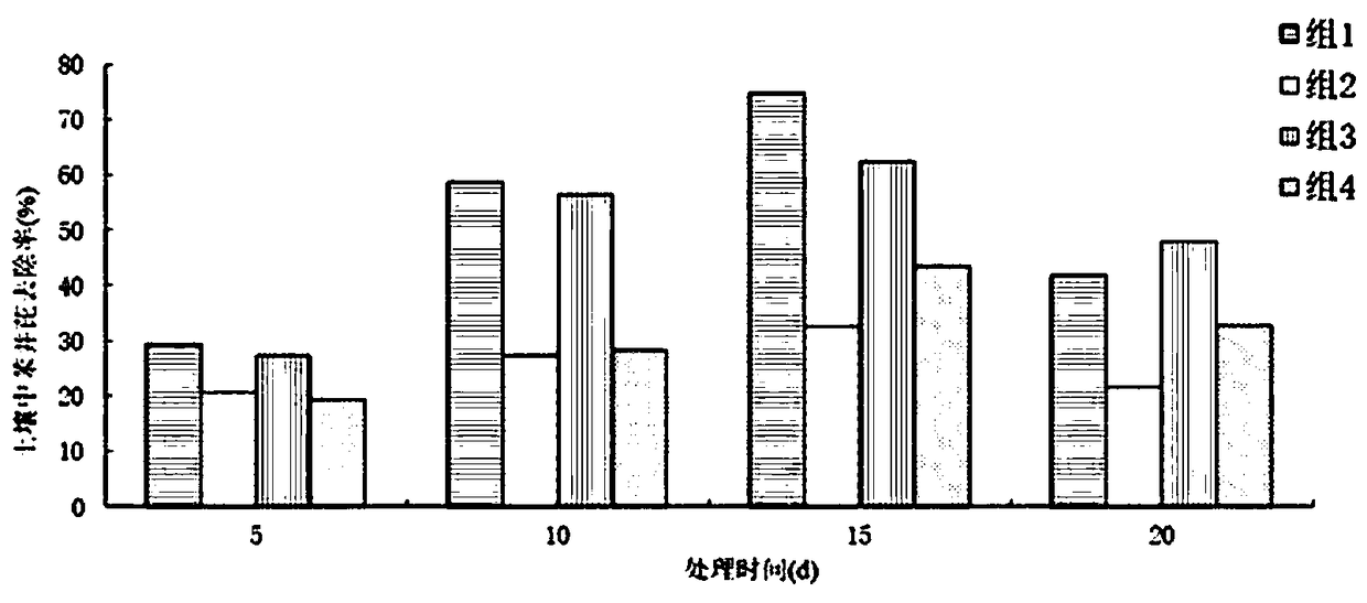 Soil remediation agent for lead and benzopyrene combined pollution and application thereof