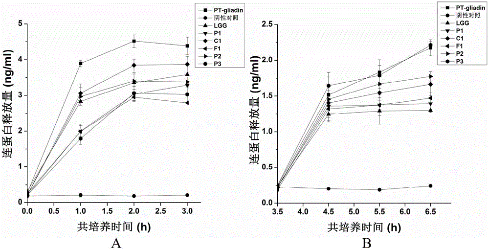 Method for screening probiotics with function of enhancing intestinal cell tight junction at cell level