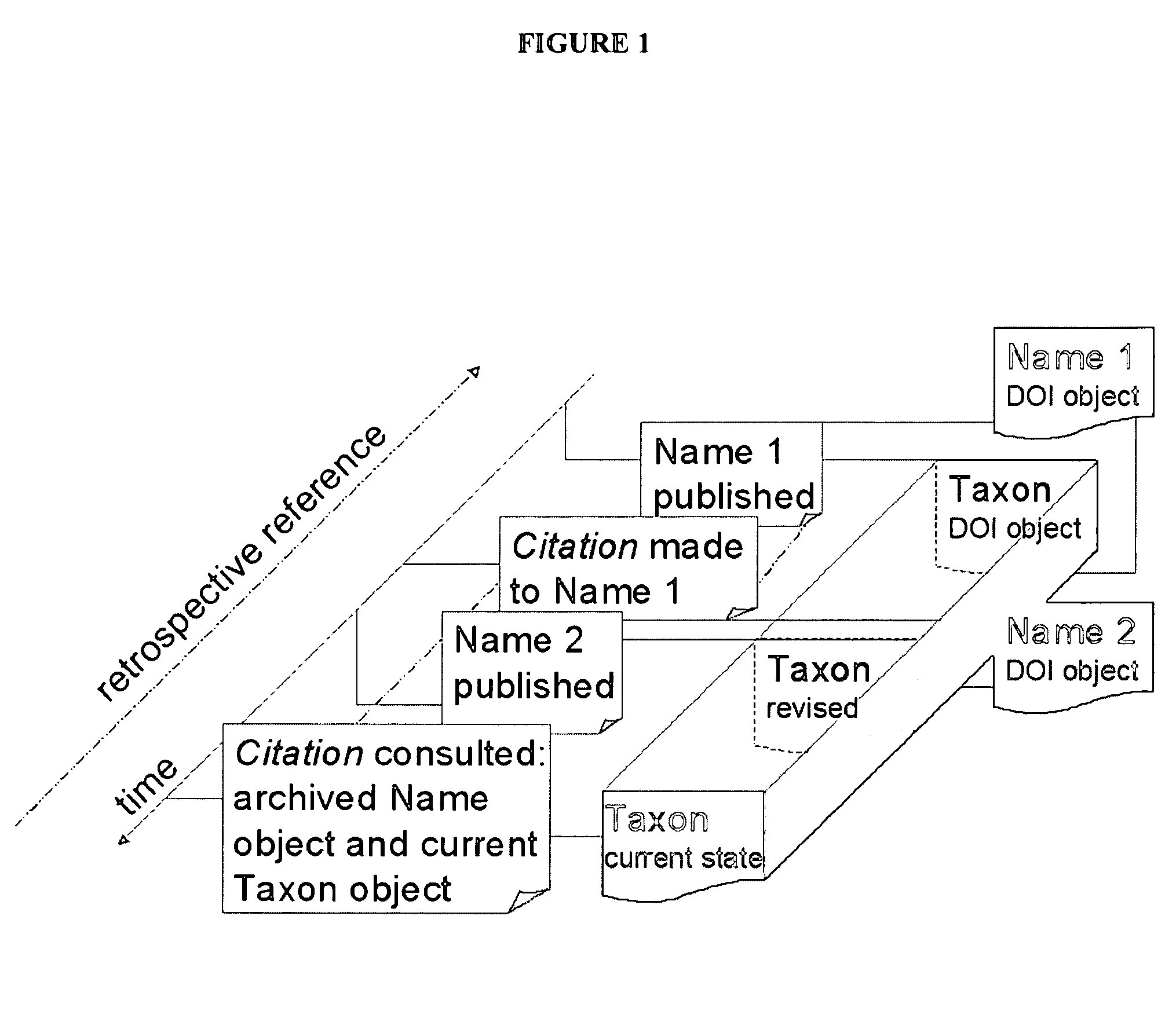Systems and methods for resolving ambiguity between names and entities