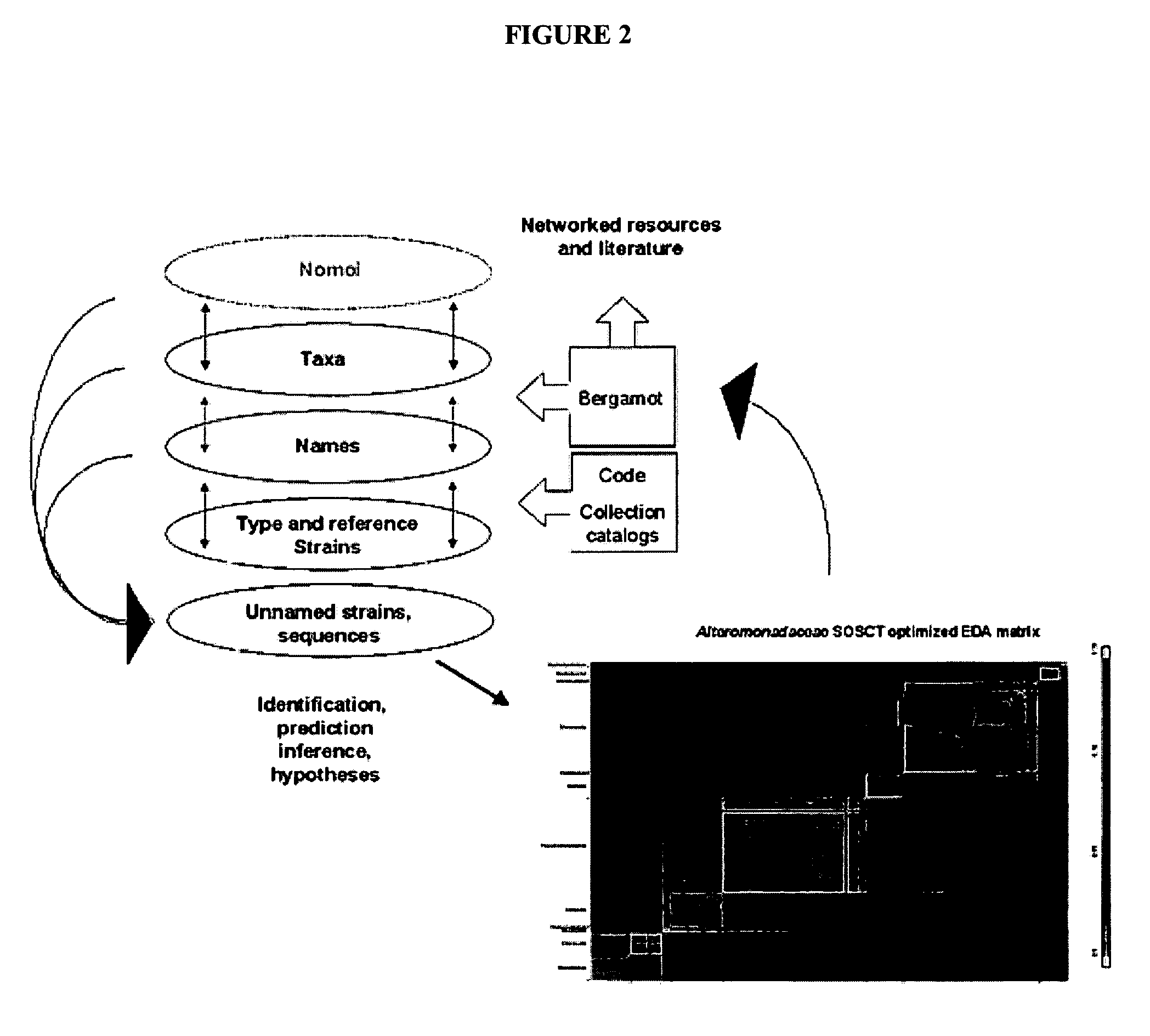 Systems and methods for resolving ambiguity between names and entities