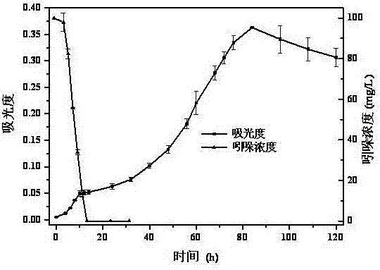 A strain of Burkholderia for aerobic degradation of indole and its application