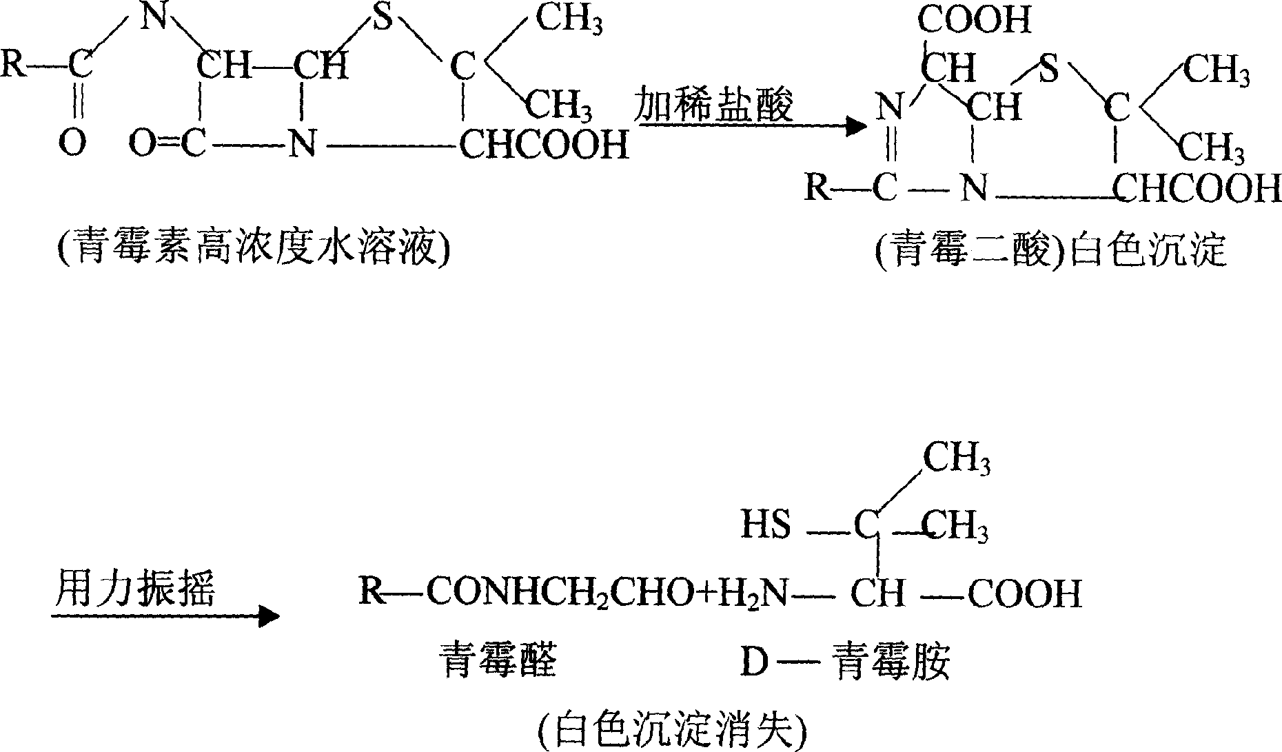 Method for rapid discrimination of Benzylpenicillin Potassium (Sodium)