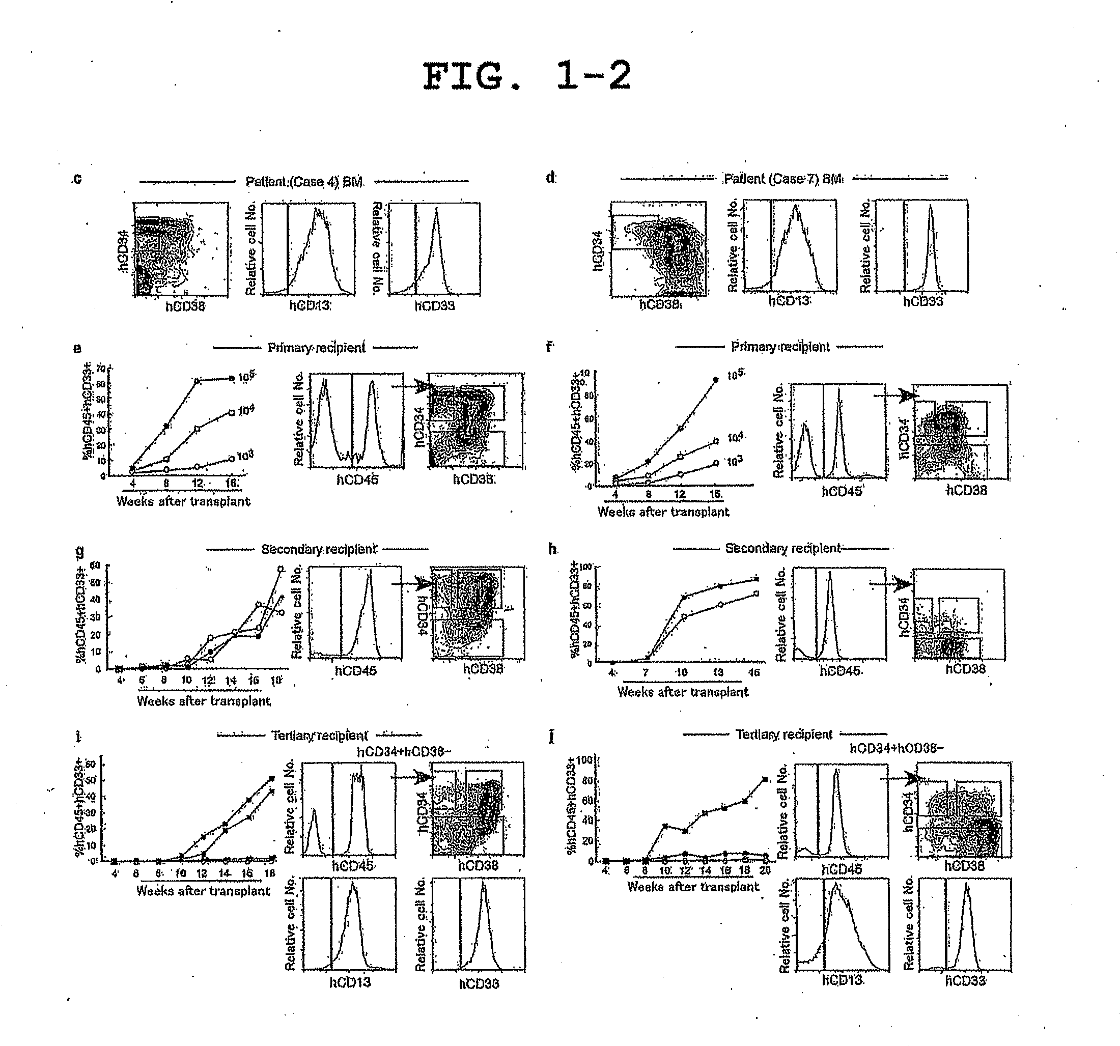 Mouse having human leukemic stem cell and leukemic non-stem cell amplified therein, and method for production thereof