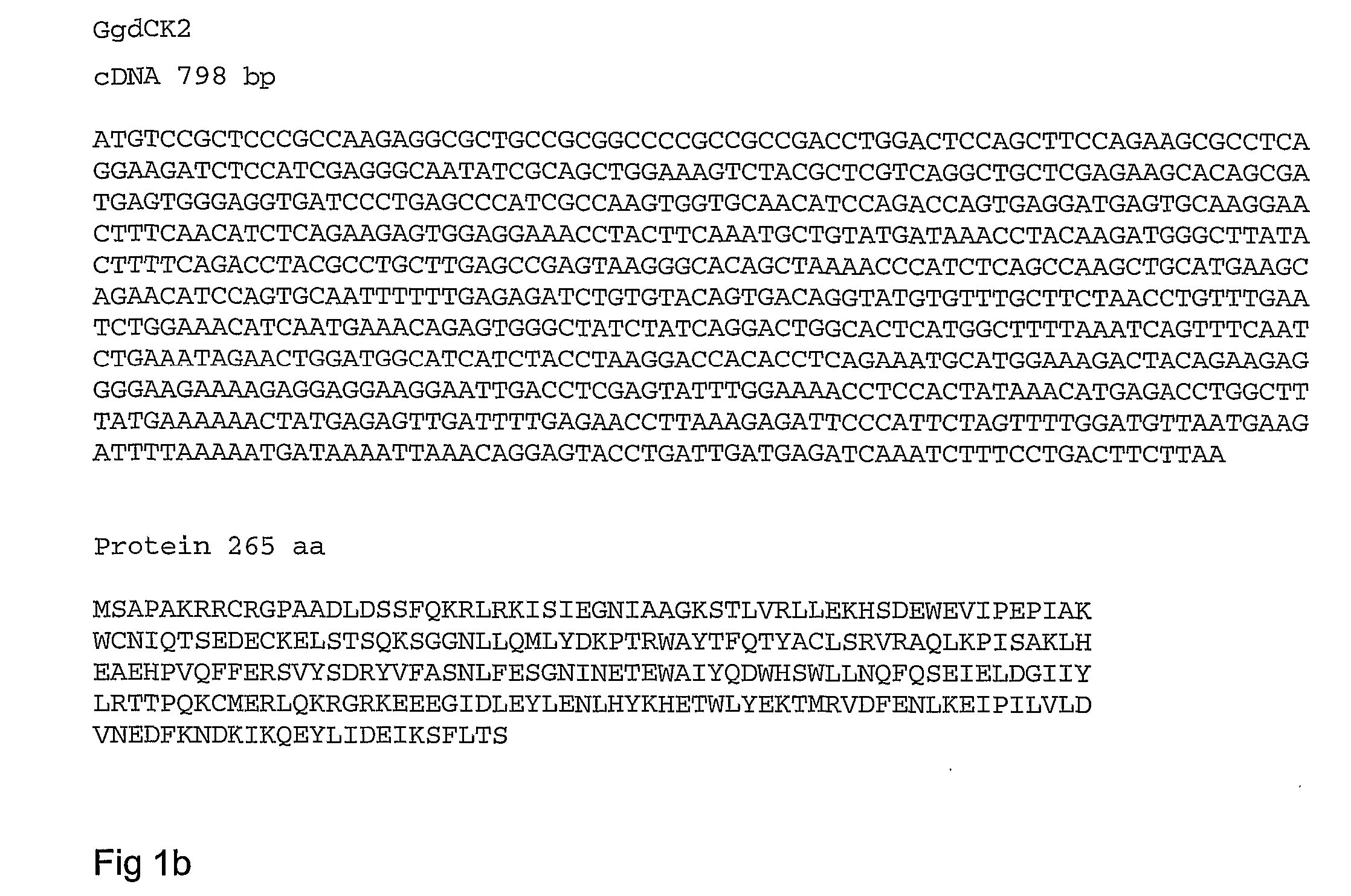 Chicken Deoxycytidine and Deoxyadenosine Kinase Enzymes and Their Use