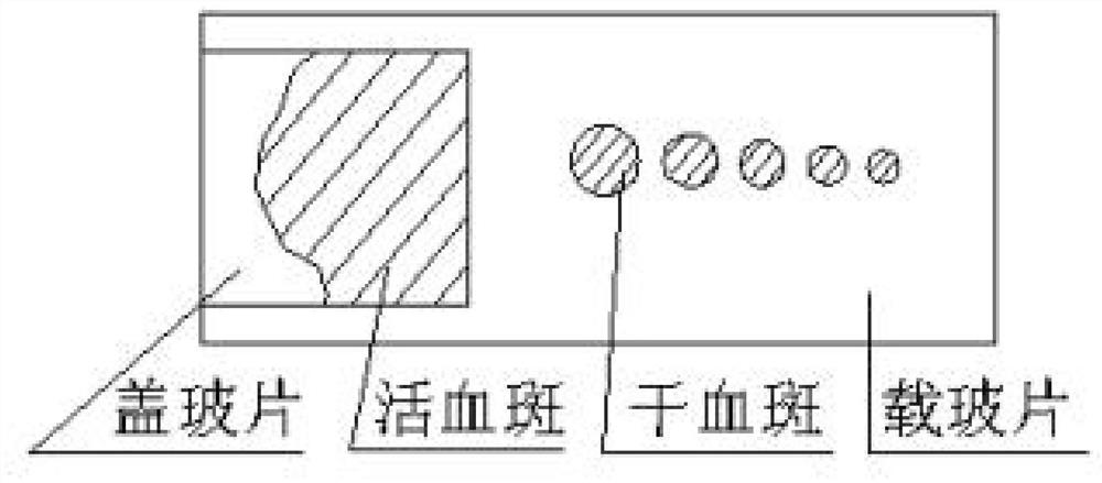 Manufacturing method of blood glass slide