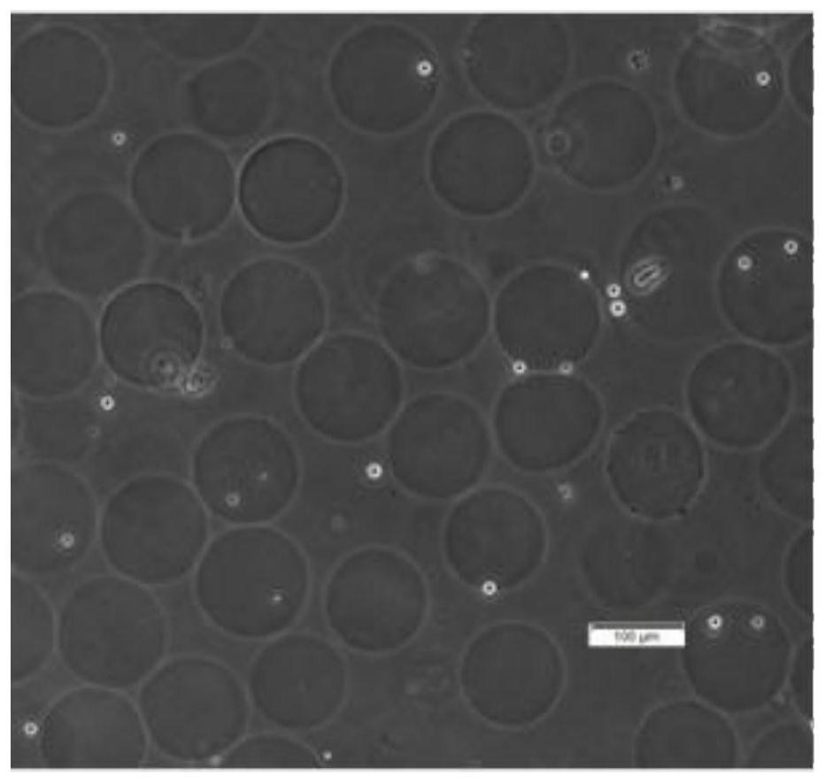 Method for preparing micro-nano gel microspheres based on metastable emulsion