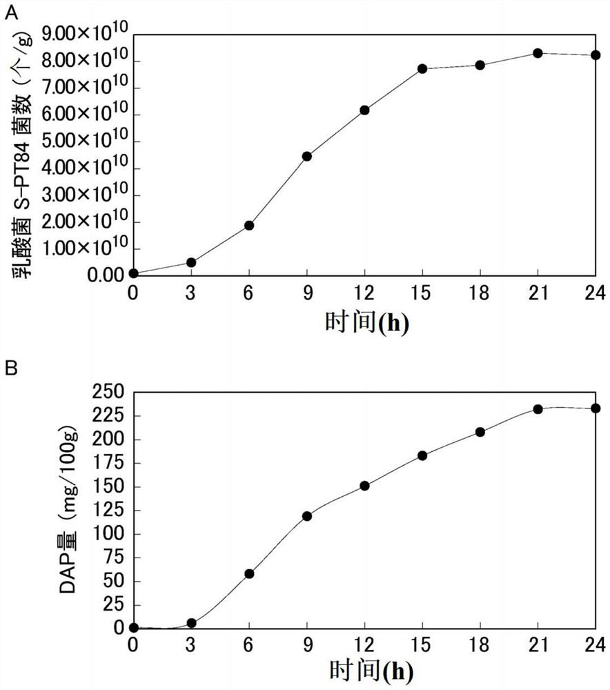 Method for quantifying diaminopimelic acid-containing bacteria