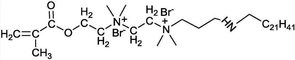 Superlong carbon chain amphiphilic waterhead-based hydrophobic monomer and preparation method thereof