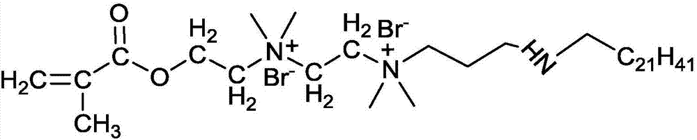 Superlong carbon chain amphiphilic waterhead-based hydrophobic monomer and preparation method thereof