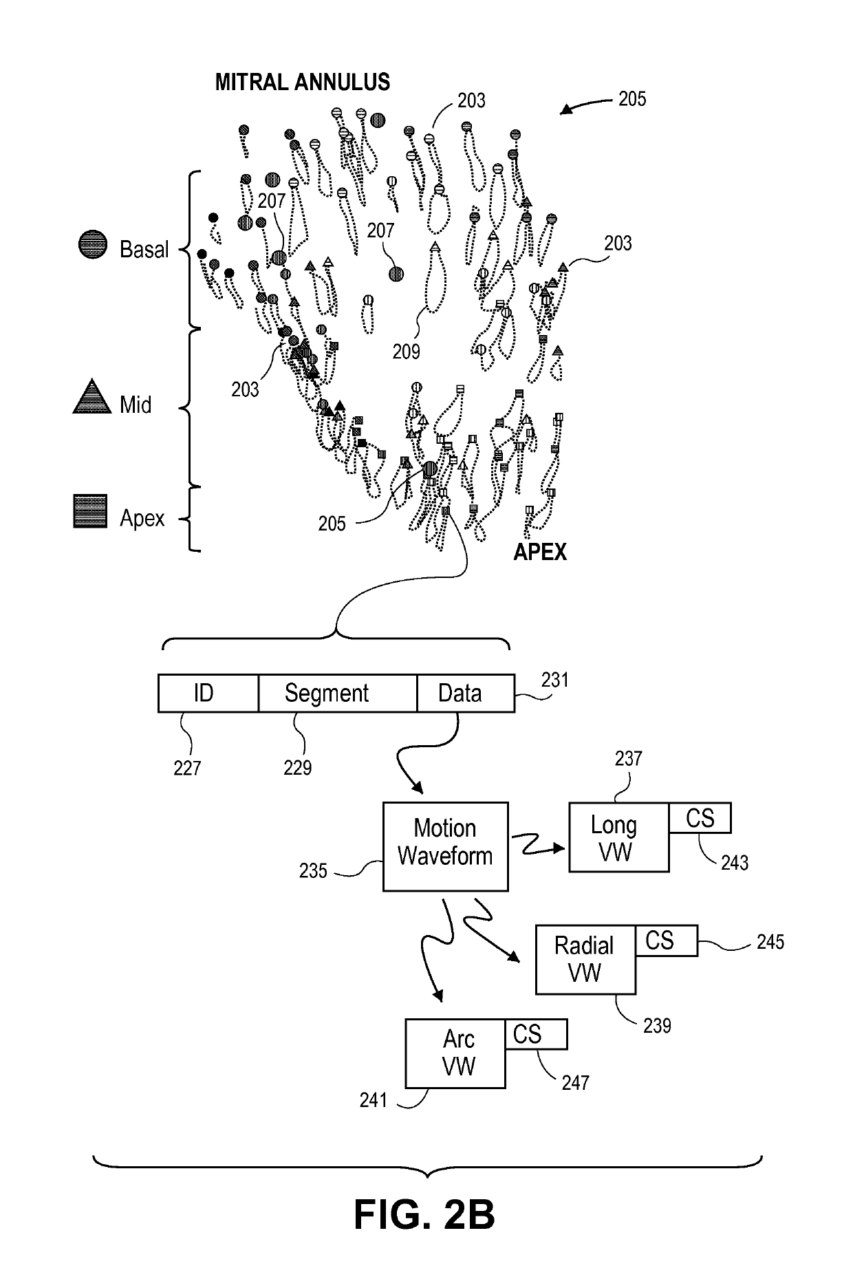 Method and system to automatically assign map points to anatomical segments and determine mechanical activation time