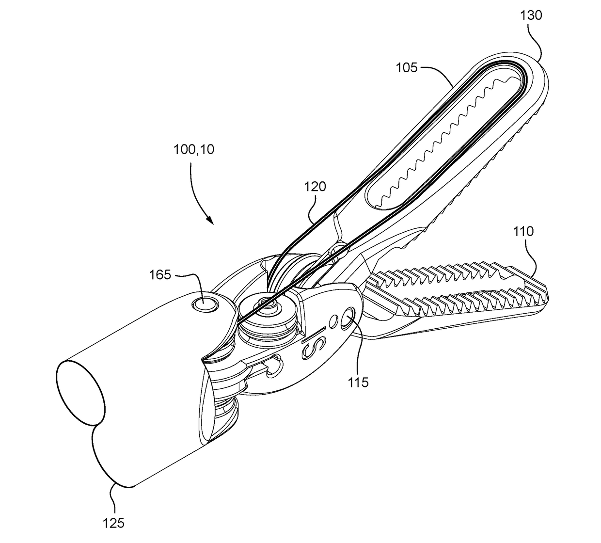 Fiber optic sensing of tool strain or tool angle