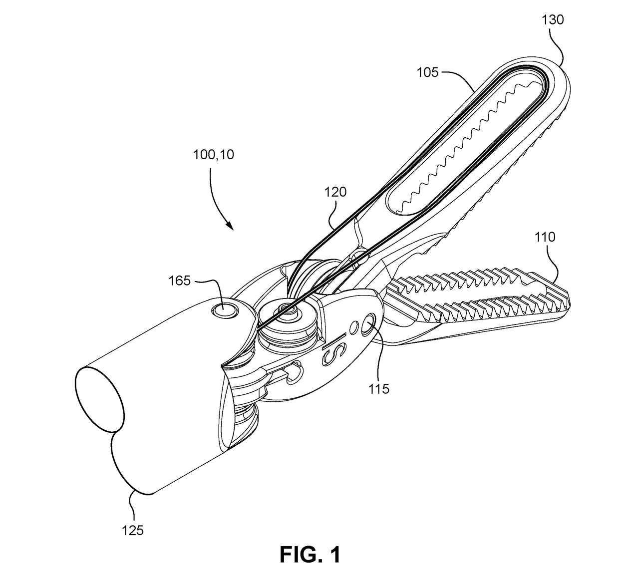 Fiber optic sensing of tool strain or tool angle