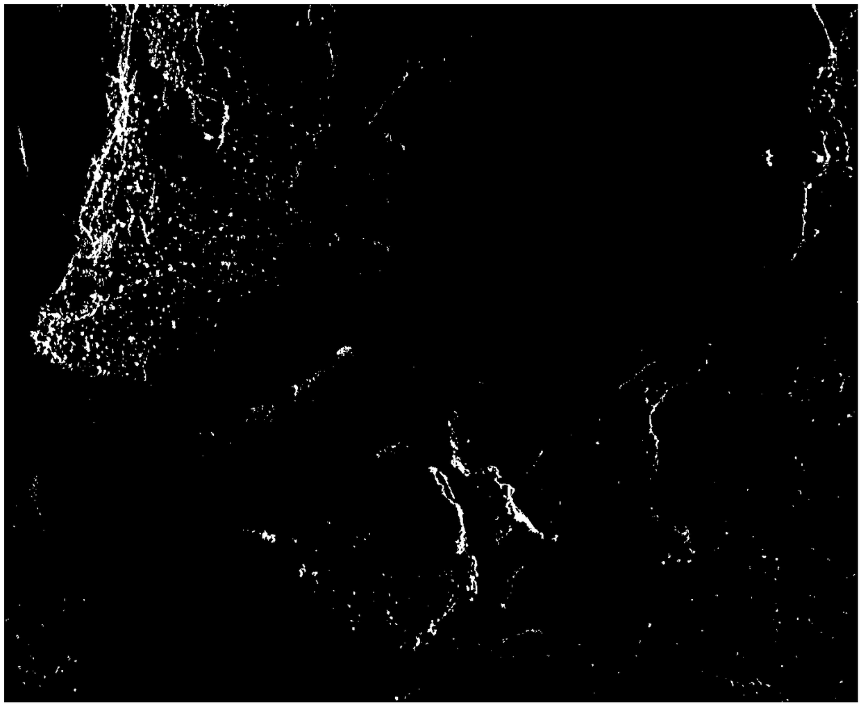 Preparation method for nickel phosphide-nitrogen doped graphite oxide foil composite nano material