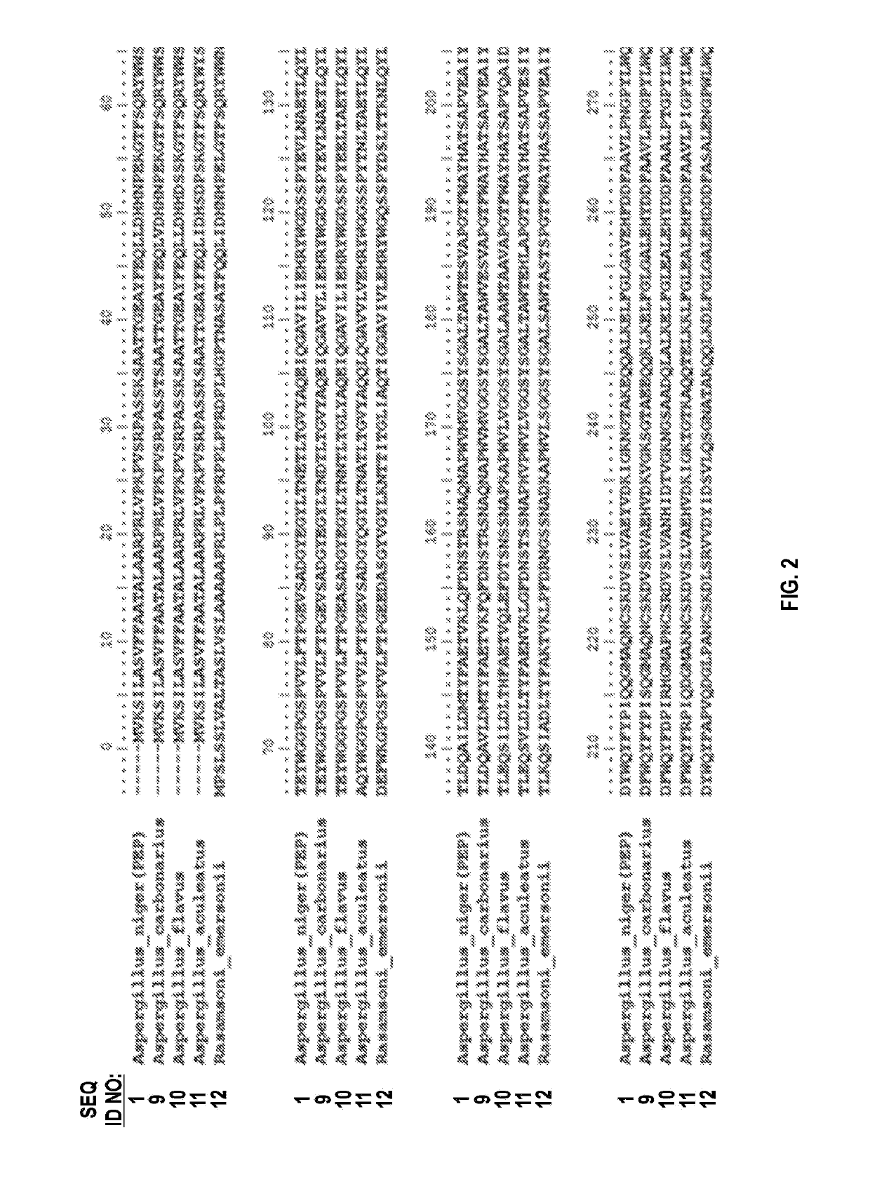 Proline-specific endoprotease and use thereof