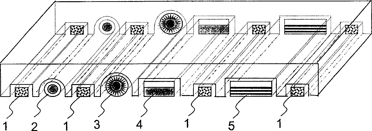 Multi-functional cleaning module and cleaning apparatus using the module