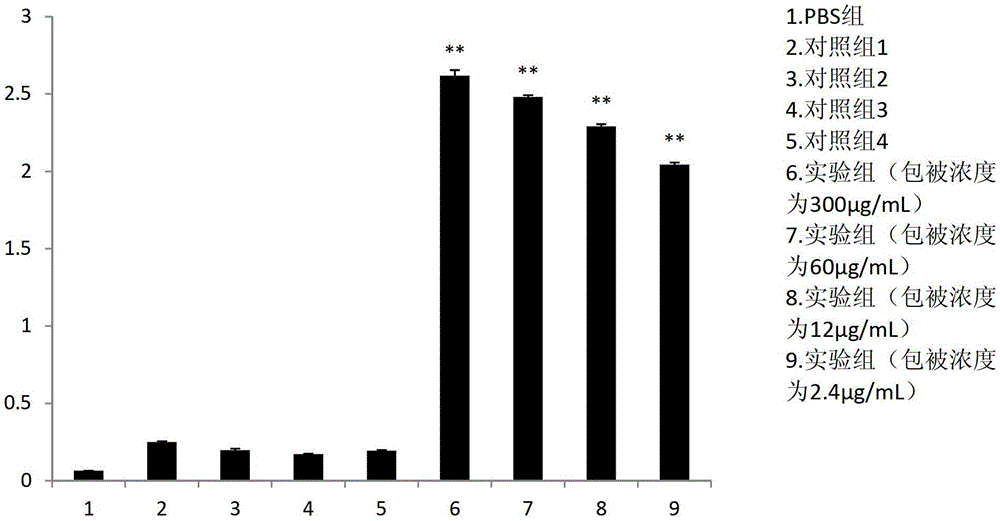 scFv antibody, encoding gene thereof and application thereof to preparation of preparation for treating or preventing infectious bursal disease