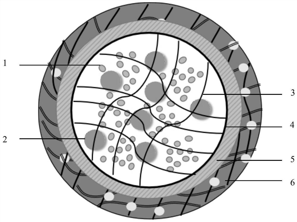 A double network hydrogel shell polycystic core structure Trichoderma harzianum fungus