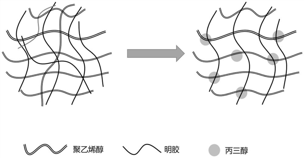 A double network hydrogel shell polycystic core structure Trichoderma harzianum fungus