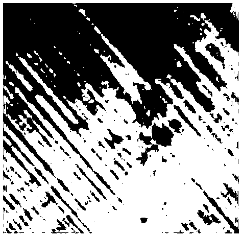 A method and device for controlling ferroelectric crystal domains