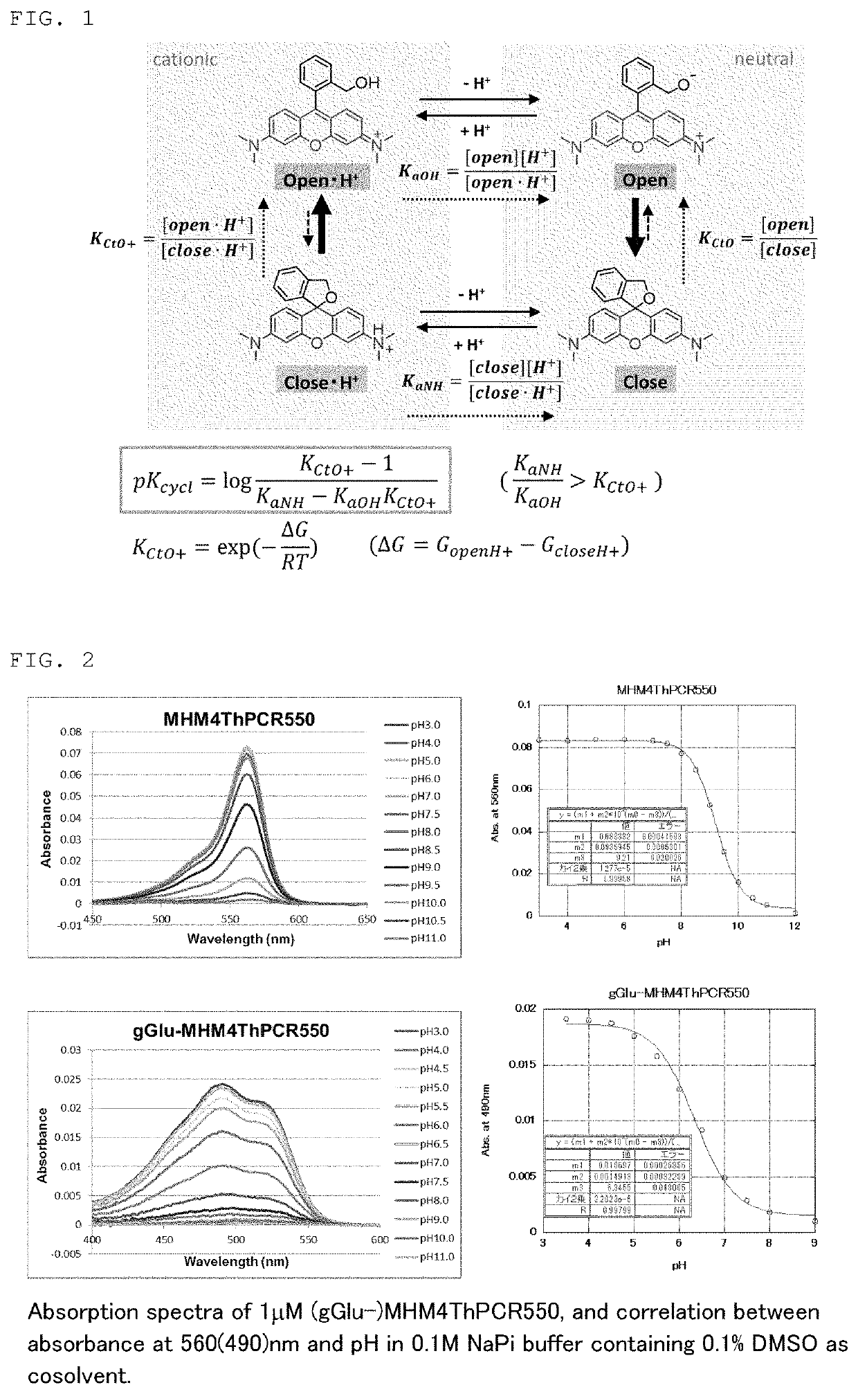 Red fluorescent probe for use in detection of peptidase activity