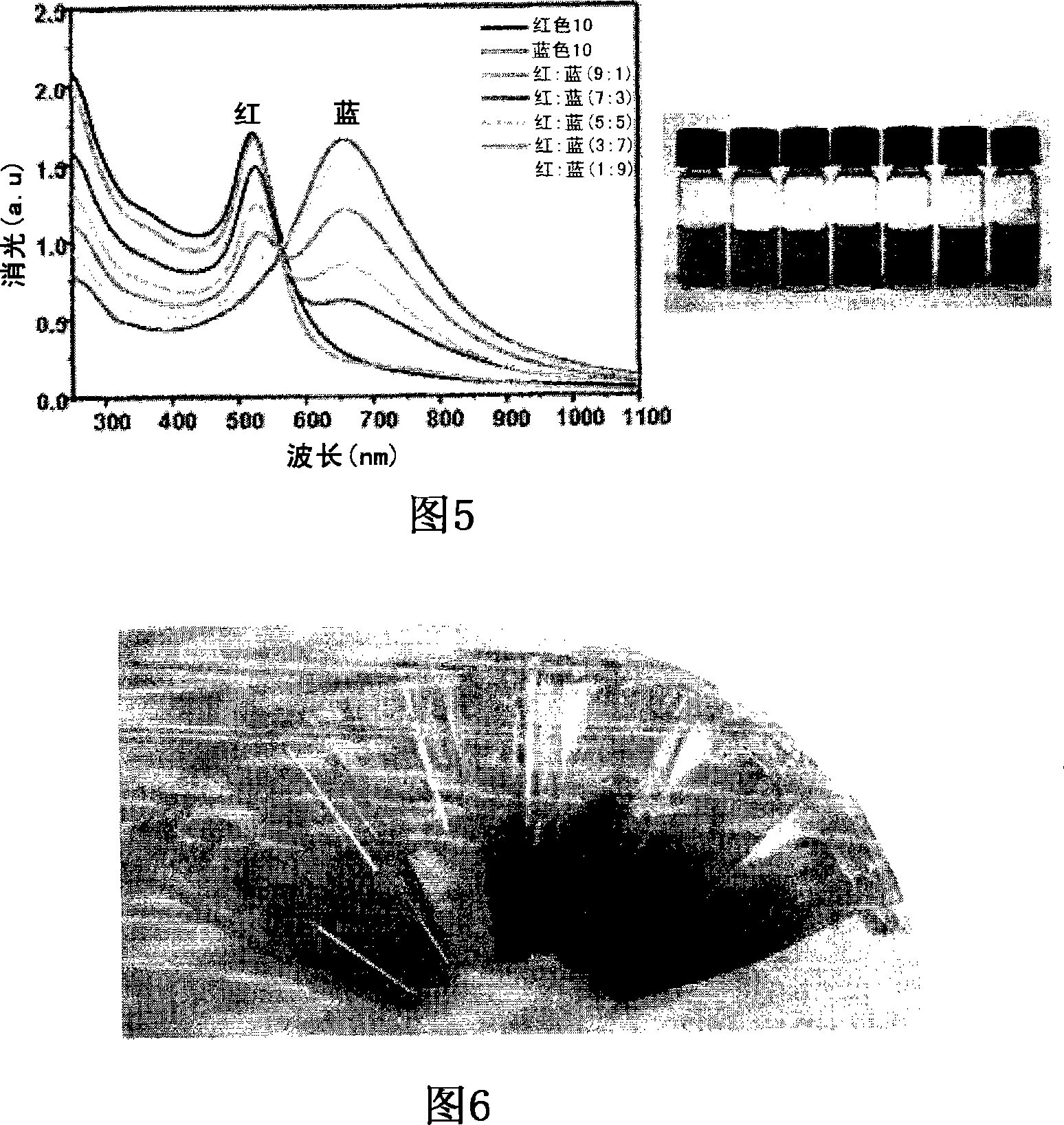 Multicolor-encoded colloidal particles coated with metal nanoparticles mixture having colors in the visible region and method for preparing the same