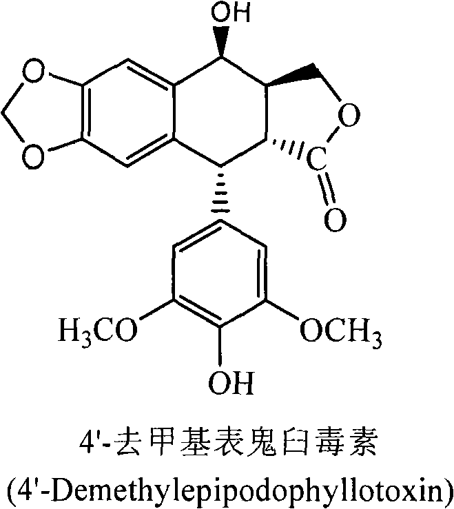 Process for the separation and preparation of 4'-demethyl podophyllic acid