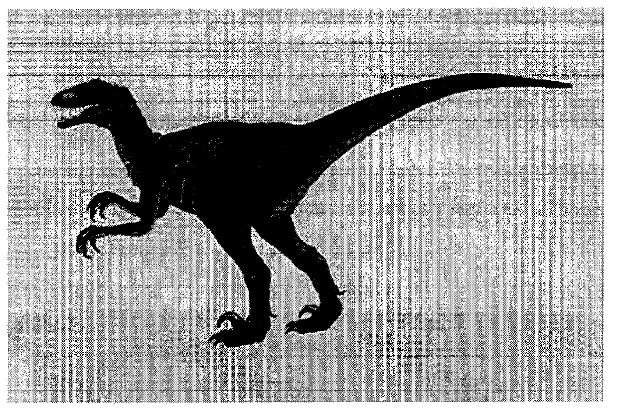 Image retrieval method based on edge direction difference characteristic bag