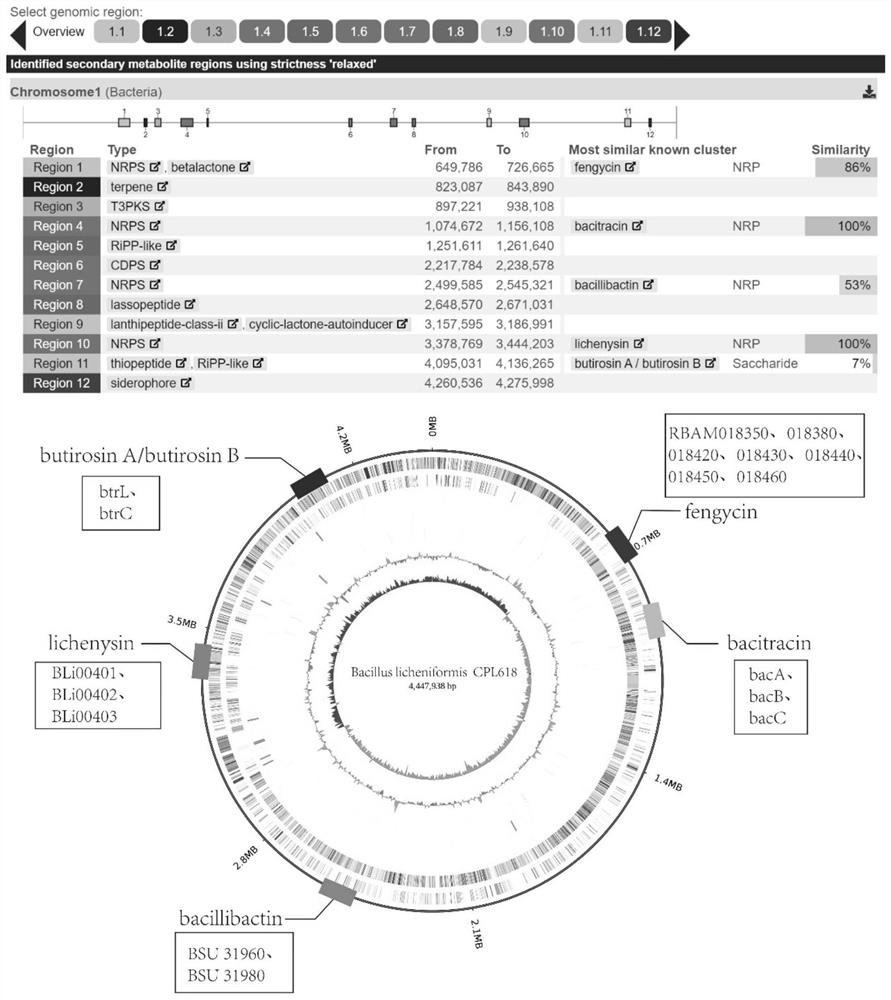 Bacillus licheniformis CPL618 and screening and application thereof