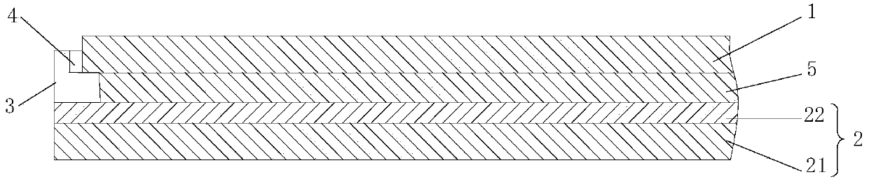 Display device and electronic device