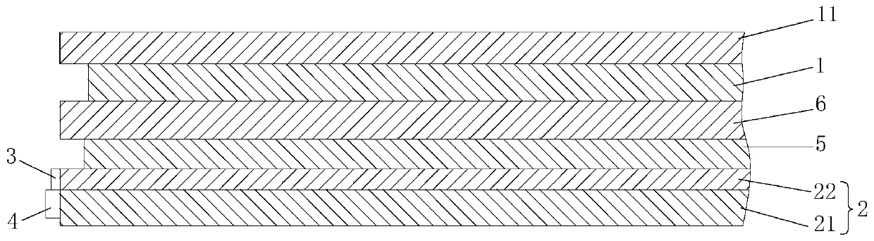 Display device and electronic device