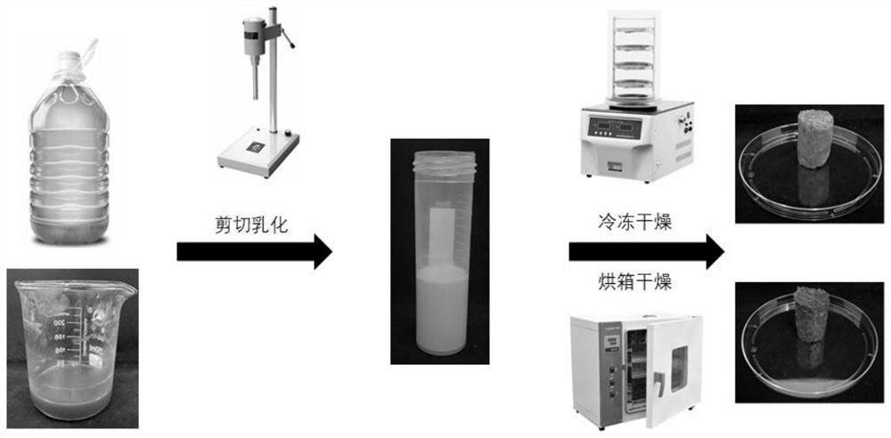 Rice bran protein oleogel as well as preparation method and application thereof