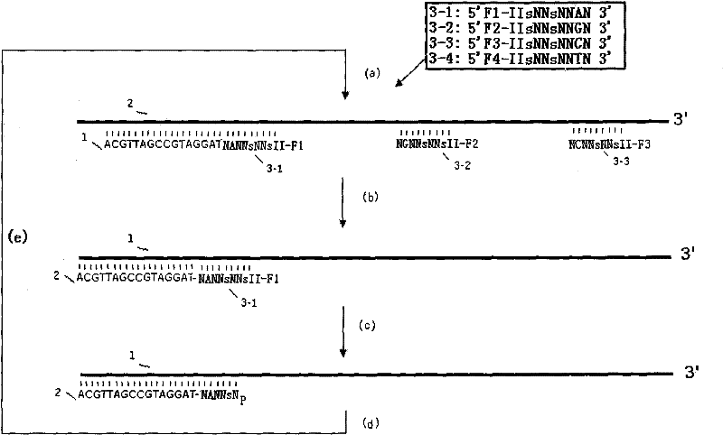 Method for improving specificity in cutting position of endonuclease V