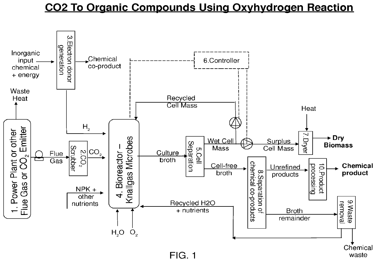 Use of oxyhydrogen microorganisms for non-photosynthetic carbon capture and conversion of inorganic and/or C1 carbon sources into useful organic compounds