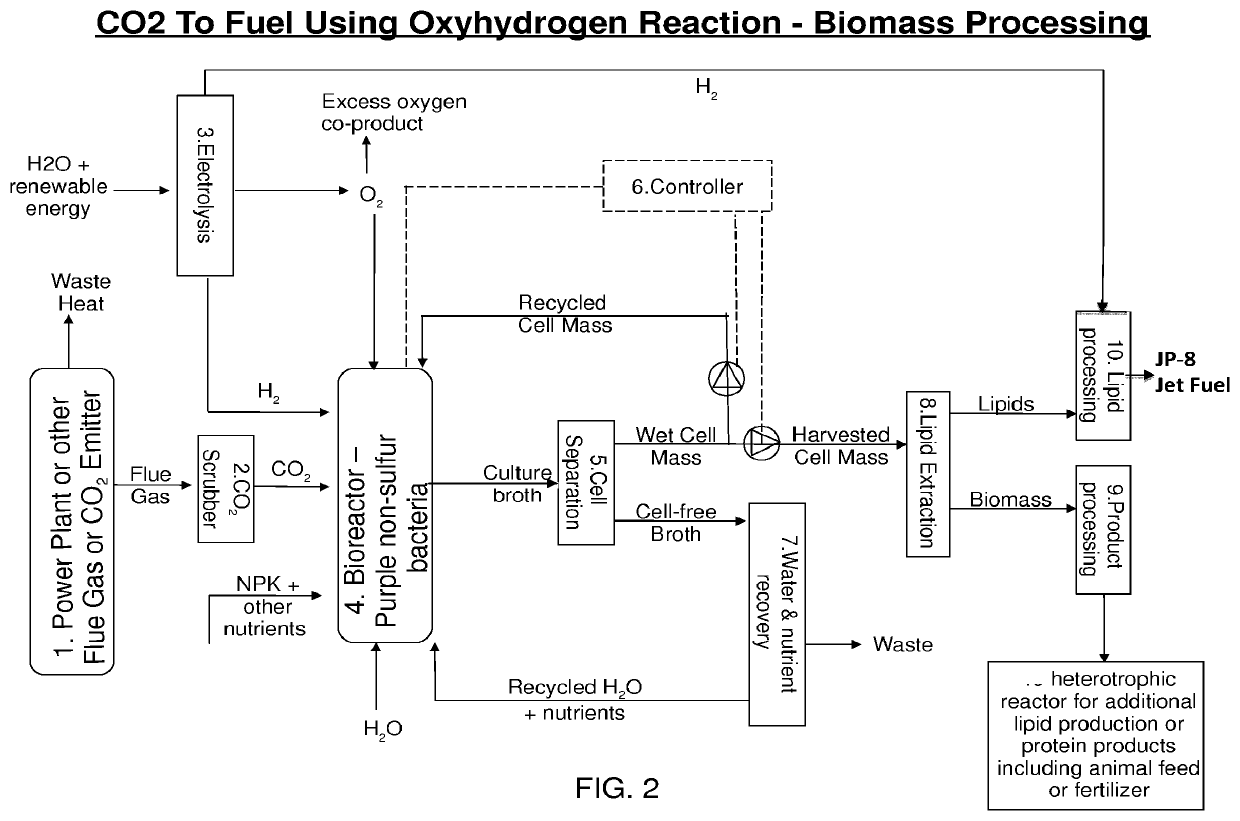 Use of oxyhydrogen microorganisms for non-photosynthetic carbon capture and conversion of inorganic and/or C1 carbon sources into useful organic compounds