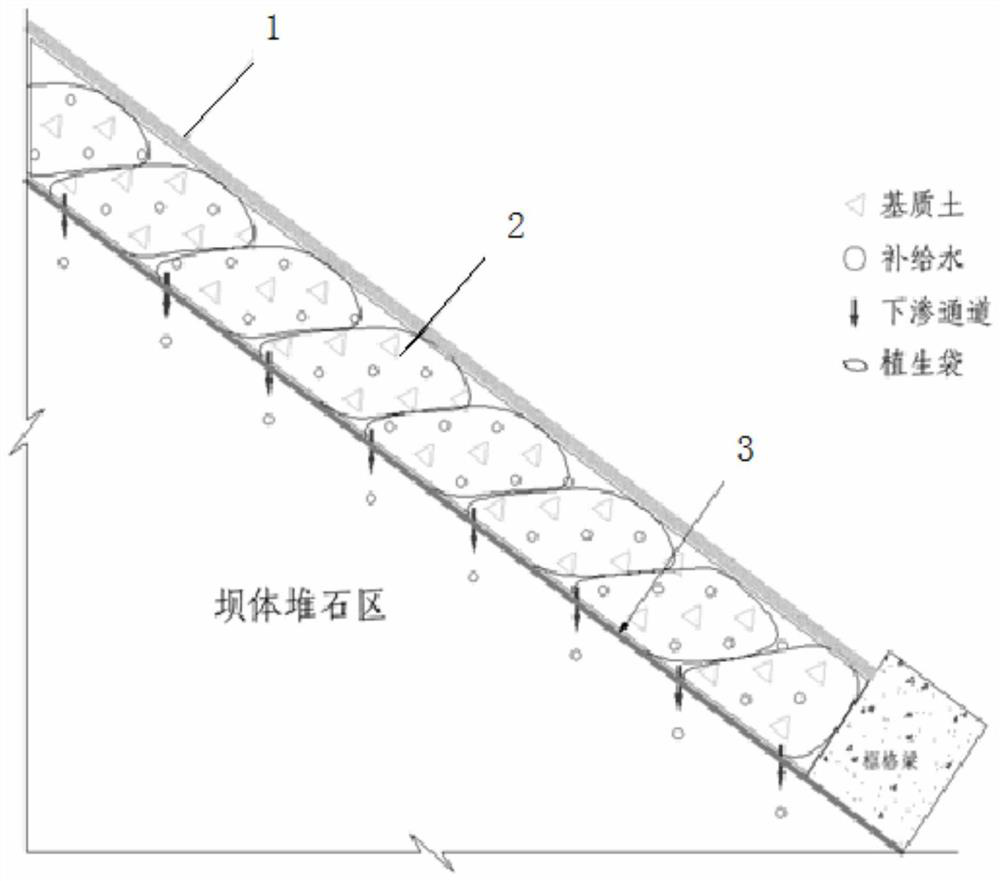 Ecological slope protection, soil fixation and water retention construction method for concrete faced rock-fill dam