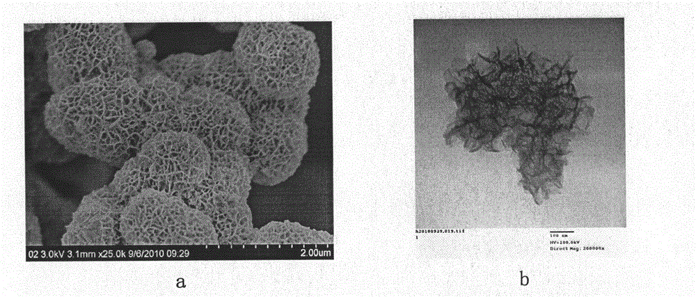 Preparation method of brain-coral-shaped birnessite type manganese dioxide