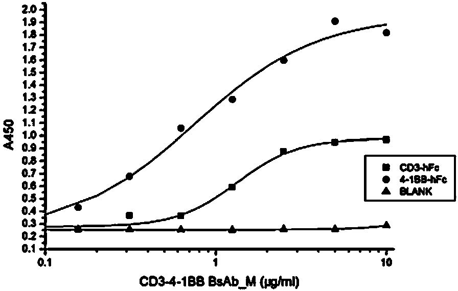 Bifunctional molecule combining CD3 and T-cell positive costimulatory molecules and application of bifunctional molecule