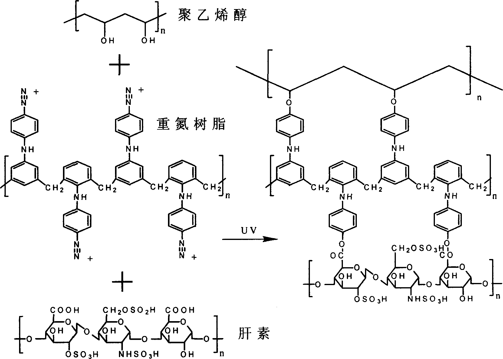 Electrochemical cross-linking process for surface modification of biological material