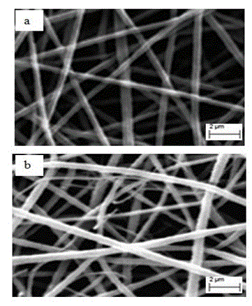 Air negative electrode for microbial fuel cell and preparation method for air negative electrode