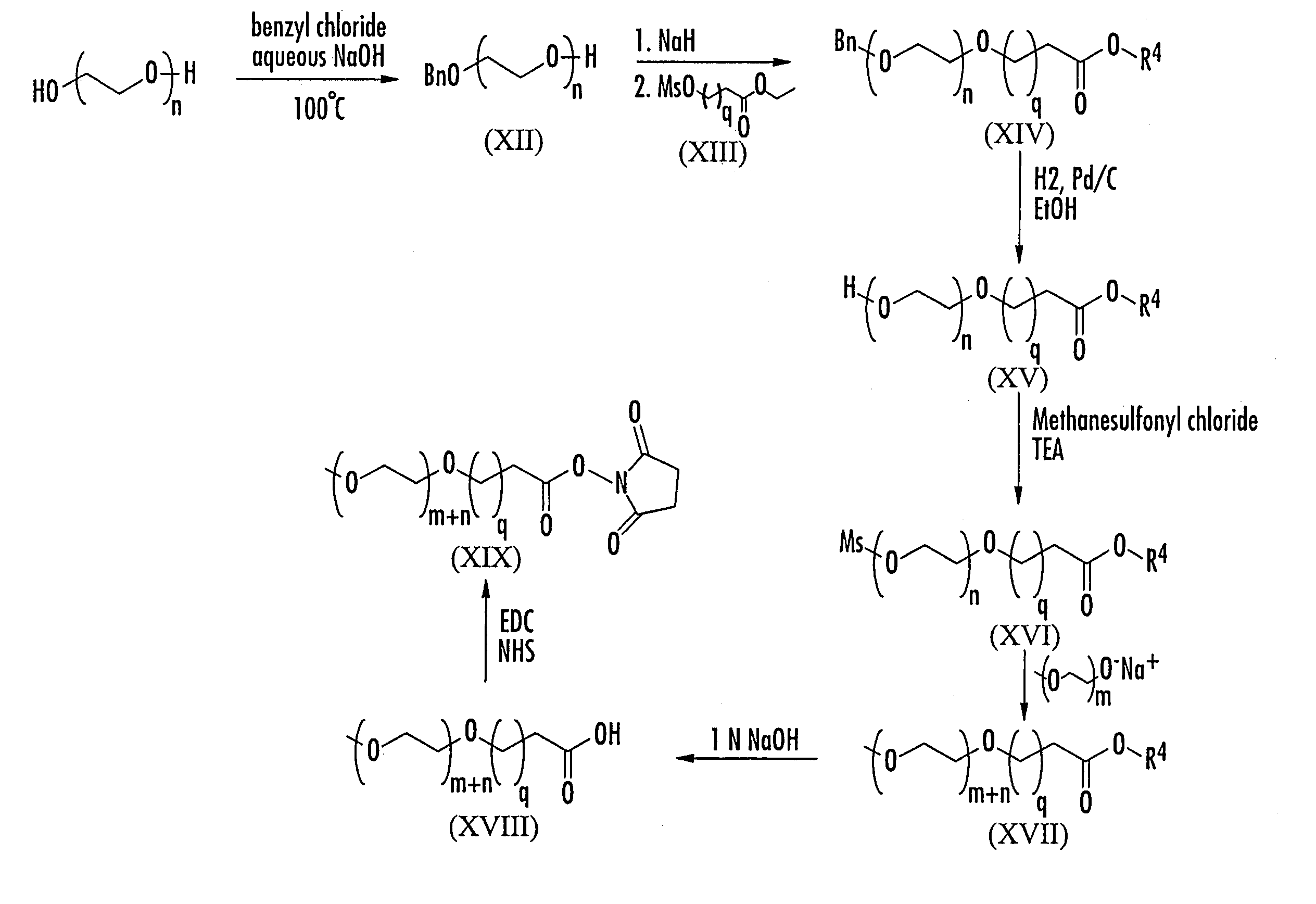 Substantially monodispersed mixtures of polymers having polyethylene glycol moieties