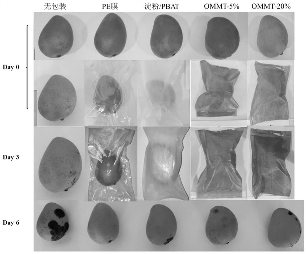 A kind of preparation method and application of biodegradable antioxidant fruit and vegetable fresh-keeping film