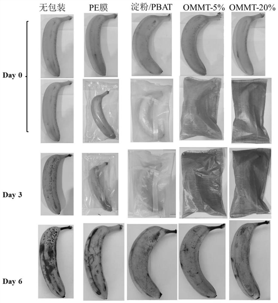 A kind of preparation method and application of biodegradable antioxidant fruit and vegetable fresh-keeping film