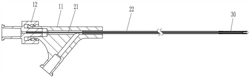 Balloon dilatation device and use method thereof