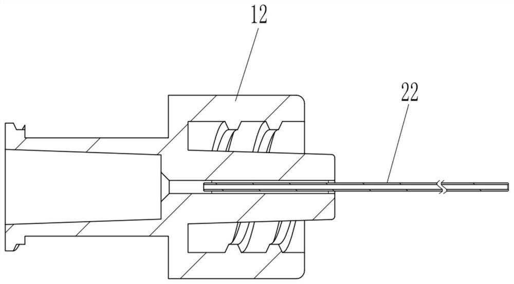 Balloon dilatation device and use method thereof