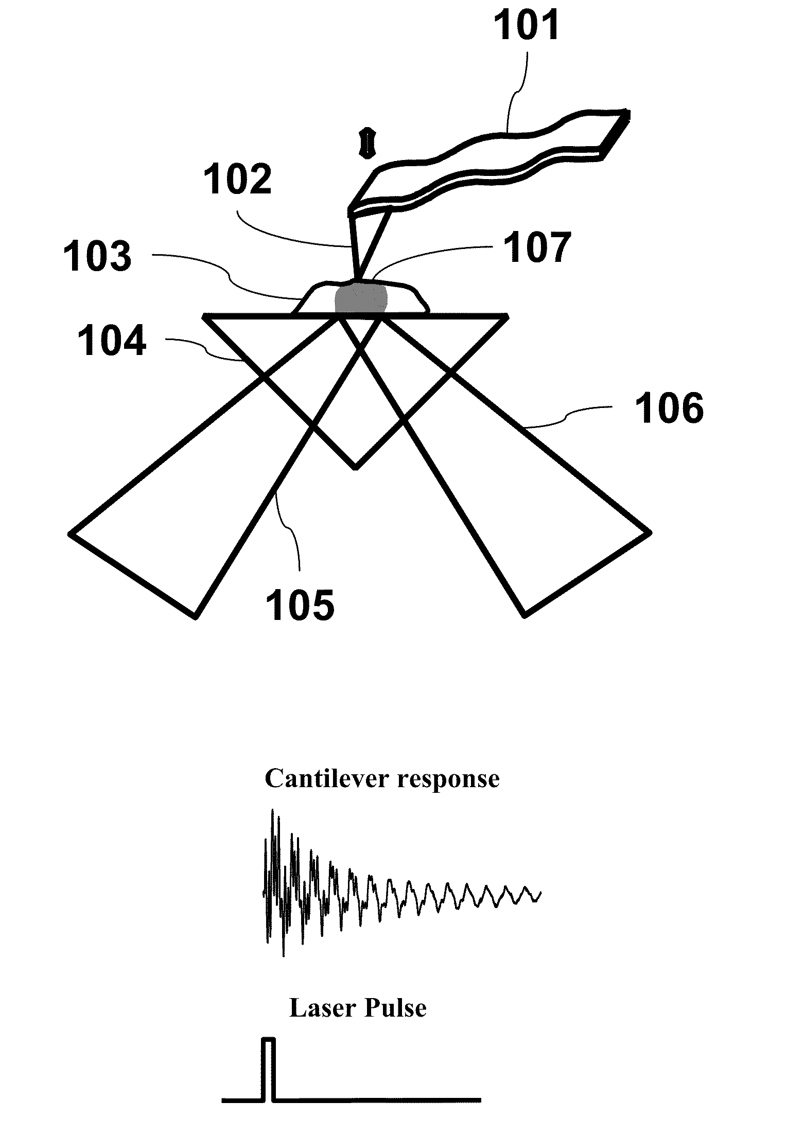 Microcantilever with Reduced Second Harmonic While in Contact with a Surface and Nano Scale Infrared Spectrometer