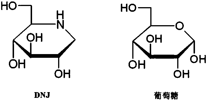 Method for preparing dnj nanosuspension