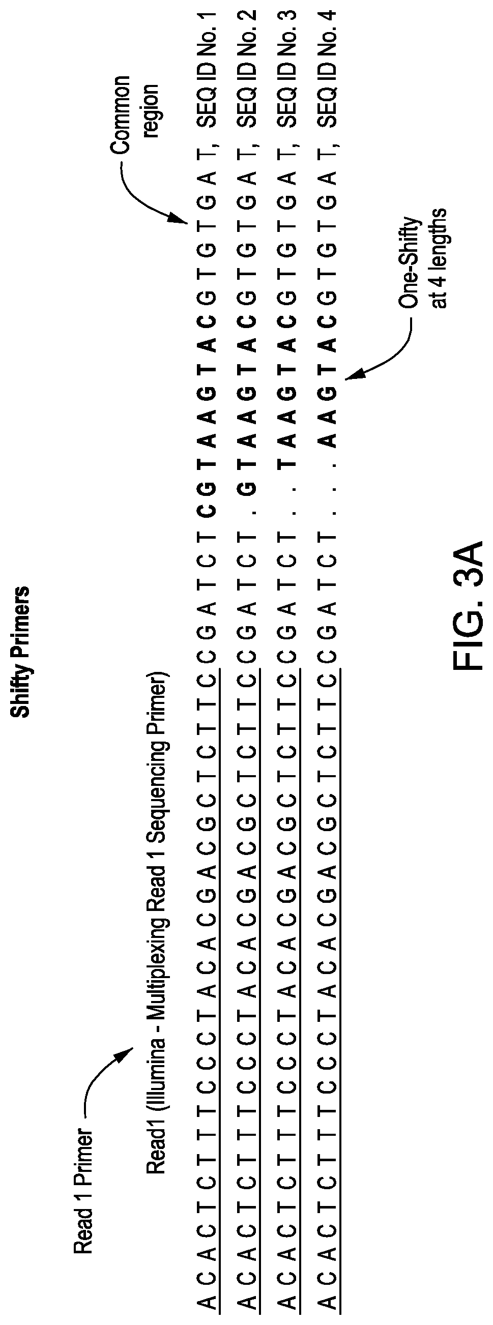 Optimizing high-throughput sequencing capacity