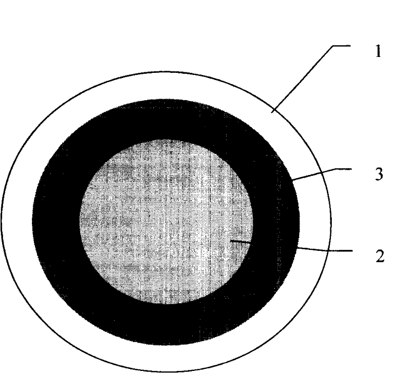 Coating type particle composite fertilizer and producing technique thereof