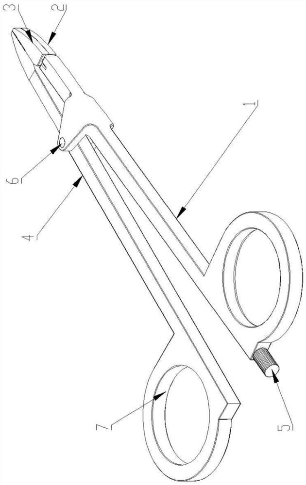 medical surgical forceps