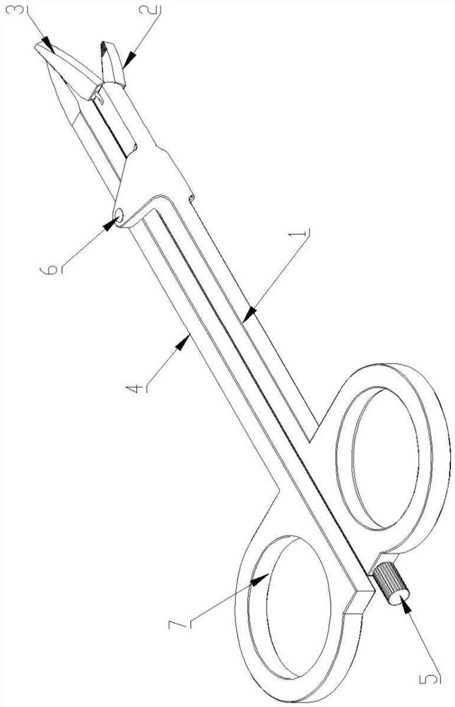 medical surgical forceps